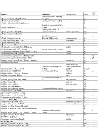 ESPÉCIE SINÔNIMOS nomes populares hábito
Conser
vação
Myrcia pulchra (O.Berg) Kiaersk.
Myrcia breviramis (O.Berg)
D.Legrand avt
Myrcia retorta Cambess. Myrcia arborescens O.Berg árv
Myrcia richardiana (O.Berg) Kiaersk. árv
Myrcia spectabilis DC.
Gomidesia spectabilis (DC.)
O.Berg avt
Myrcia splendens (Sw.) DC.
Myrcia fallax (Rich.) DC.;
Myrcia rostrata DC. cumaté, guamirim árv
Myrcia tenuivenosa Kiaersk. árv
Myrcia tijucensis Kiaersk.
Gomidesia tijucensis
(Kiaersk.) D.Legrand guamirim-ferro árv
VU
Myrcia tomentosa (Aubl.) DC. cabeludeira árv
Myrcia undulata O.Berg
Myrcia venulosa DC. avt
Myrcianthes pungens (O.Berg) D.Legrand guabiju avt
Myrciaria delicatula (DC.) O.Berg Myrciaria macrocarpa Usteri avt
Myrciaria floribunda (H.West ex Willd.) O.Berg cambuí avt
Myrciaria tenella (DC.) O.Berg cambuí avt
Neomitranthes capivariensis (Mattos) Mattos EX
Neomitranthes pedicellata (Burret) Mattos avt QA
Pimenta pseudocaryophyllus (Gomes) Landrum louro-cravo avt
Plinia anonyma Sobral avt
Plinia cauliflora (DC.) Kausel
Myrciaria cauliflora (Mart.)
O.Berg
jaboticabeira-de-
sabará, jaboticabeira-
graúda avt, arb
Plinia edulis (Vell.) Sobral Marlierea edulis Nied. cambucá avt VU
Plinia rivularis (Cambess.) Rotman guaburiti avt
Psidium cattleianum Sabine araçá avt
Psidium grandifolium Mart. ex DC.
Psidium cinereum Mart. ex
DC. araçá-cinzento arb
Psidium guajava L. goiabeira avt
Psidium guineense Sw. araçá-do-campo arb
Psidium myrtoides O.Berg arb
Psidium ovale (Spreng.) Burret Psidium spathulatum Mattos avt
Psidium rufum Mart. ex DC. araçá-roxo avt
Siphoneugena densiflora O.Berg avt
Siphoneugena reitzii D.Legrand avt VU
Siphoneugena widgreniana O.Berg camboim árv
NYCTAGINACEAE
Bougainvillea glabra Choisy primavera, três-marias tr
Bougainvillea spectabilis Willd. primavera, três-marias tr
Guapira areolata (Heimerl) Lundell árv
Guapira graciliflora (Mart. ex Schmidt) Lundell árv
Guapira nitida (Mart. ex J.A. Schmidt) Lundell
Guapira hoehnei (Standl.)
Lundell avt
VU
Guapira opposita (Vell.) Reitz maria-mole árv
NYMPHAEACEAE
Nymphaea gardneriana Planch. ninfeia ea
OCHNACEAE
Ouratea floribunda (A.St.-Hil.) Engl. arb
Ouratea hexasperma (A.St.-Hil.) Baill. avt
 