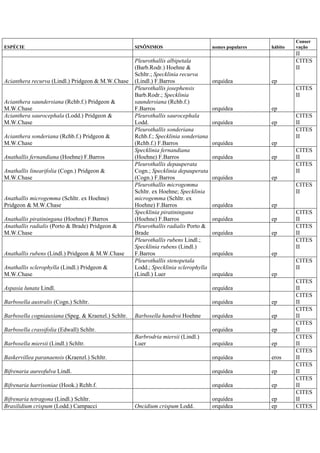 ESPÉCIE SINÔNIMOS nomes populares hábito
Conser
vação
II
Acianthera recurva (Lindl.) Pridgeon & M.W.Chase
Pleurothallis albipetala
(Barb.Rodr.) Hoehne &
Schltr.; Specklinia recurva
(Lindl.) F.Barros orquídea ep
CITES
II
Acianthera saundersiana (Rchb.f.) Pridgeon &
M.W.Chase
Pleurothallis josephensis
Barb.Rodr.; Specklinia
saundersiana (Rchb.f.)
F.Barros orquídea ep
CITES
II
Acianthera saurocephala (Lodd.) Pridgeon &
M.W.Chase
Pleurothallis saurocephala
Lodd. orquídea ep
CITES
II
Acianthera sonderiana (Rchb.f.) Pridgeon &
M.W.Chase
Pleurothallis sonderiana
Rchb.f.; Specklinia sonderiana
(Rchb.f.) F.Barros orquídea ep
CITES
II
Anathallis fernandiana (Hoehne) F.Barros
Specklinia fernandiana
(Hoehne) F.Barros orquídea ep
CITES
II
Anathallis linearifolia (Cogn.) Pridgeon &
M.W.Chase
Pleurothallis depauperata
Cogn.; Specklinia depauperata
(Cogn.) F.Barros orquídea ep
CITES
II
Anathallis microgemma (Schltr. ex Hoehne)
Pridgeon & M.W.Chase
Pleurothallis microgemma
Schltr. ex Hoehne; Specklinia
microgemma (Schltr. ex
Hoehne) F.Barros orquídea ep
CITES
II
Anathallis piratiningana (Hoehne) F.Barros
Specklinia piratiningana
(Hoehne) F.Barros orquídea ep
CITES
II
Anathallis radialis (Porto & Brade) Pridgeon &
M.W.Chase
Pleurothallis radialis Porto &
Brade orquídea ep
CITES
II
Anathallis rubens (Lindl.) Pridgeon & M.W.Chase
Pleurothallis rubens Lindl.;
Specklinia rubens (Lindl.)
F.Barros orquídea ep
CITES
II
Anathallis sclerophylla (Lindl.) Pridgeon &
M.W.Chase
Pleurothallis stenopetala
Lodd.; Specklinia sclerophylla
(Lindl.) Luer orquídea ep
CITES
II
Aspasia lunata Lindl. orquídea
CITES
II
Barbosella australis (Cogn.) Schltr. orquídea ep
CITES
II
Barbosella cogniauxiana (Speg. & Kraenzl.) Schltr. Barbosella handroi Hoehne orquídea ep
CITES
II
Barbosella crassifolia (Edwall) Schltr. orquídea ep
CITES
II
Barbosella miersii (Lindl.) Schltr.
Barbrodria miersii (Lindl.)
Luer orquídea ep
CITES
II
Baskervillea paranaensis (Kraenzl.) Schltr. orquídea eros
CITES
II
Bifrenaria aureofulva Lindl. orquídea ep
CITES
II
Bifrenaria harrisoniae (Hook.) Rchb.f. orquídea ep
CITES
II
Bifrenaria tetragona (Lindl.) Schltr. orquídea ep
CITES
II
Brasilidium crispum (Lodd.) Campacci Oncidium crispum Lodd. orquídea ep CITES
 