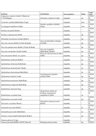 ESPÉCIE SINÔNIMOS nomes populares hábito
Conser
vação
Coppensia ranifera (Lindl.) F.Barros &
V.T.Rodrigues Oncidium raniferum Lindl. orquídea ep
CITES
II
Cranichis candida (Barb.Rodr.) Cogn. orquídea eros
CITES
II
Cyclopogon multiflorus Schltr.
Beadlea multiflora (Schltr.)
Garay orquídea eros
CITES
II
Dichaea bryophila Rchb.f. orquídea
CITES
II
Dichaea cogniauxiana Schltr. orquídea ep
CITES
II
Elleanthus brasiliensis (Lindl.) Rchb.f. orquídea ep
CITES
II
Encyclia euosma (Rchb.f.) Porto & Brade
Encyclia flabellifera Hoehne
& Schltr. orquídea ep
CITES
II
Encyclia gallopaviana (Rchb.f.) Porto & Brade orquídea ep
CITES
II
Encyclia oncidioides (Lindl.) Schltr.
Encyclia longifolia
(Barb.Rodr.) Rchb.f. orquídea ep
CITES
II
Encyclia patens Hook. var. patens
Encyclia odoratissima (Lindl.)
Schltr. orquídea ep
CITES
II
Epidendrum ansiferum Rchb.f. orquídea ee
CITES
II
Epidendrum chlorinum Barb.Rodr. orquídea ep
CITES
II
Epidendrum dendrobioides Thunb. orquídea ee
CITES
II
Epidendrum denticulatum Barb.Rodr. orquídea ee
CITES
II
Epidendrum latilabre Lindl.
Neolehmannia latilabris
(Lindl.) Pabst orquídea ep
CITES
II
Epidendrum paranaense Barb.Rodr. orquídea ep
CITES
II
Epidendrum proligerum Barb.Rodr. orquídea ep
CITES
II
Epidendrum ramosum Jacq. orquídea ep
CITES
II
Epidendrum secundum Jacq.
Epidendrum ellipticum
Graham; Epidendrum
magalhaesii Schltr. orquídea ee
CITES
II
Epidendrum vesicatum Lindl. orquídea ep
CITES
II
Eurystyles cotyledon Wawra
Stenoptera ananassocomos
Rchb.f. orquídea
CITES
II
Galeandra beyrichii Rchb.f. orquídea ee
CITES
II
Galeandra junceoides Barb.Rodr. orquídea ee
CITES
II
Gomesa crispa (Lindl.) Klotzsch & Rchb.f. orquídea ep
CITES
II
Gomesa glaziovii Cogn. orquídea
CITES
II
Gomesa jucunda (Rchb.f.) M.W.Chase & Rodrigueziella jucunda orquídea ep CITES
 