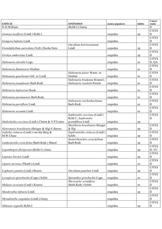 ESPÉCIE SINÔNIMOS nomes populares hábito
Conser
vação
N.H.Willians (Rchb.f.) Garay II
Gomesa laxiflora (Lindl.) Rchb.f. orquídea ep
CITES
II
Gongora bufonia Lindl. orquídea
CITES
II
Grandiphyllum auriculata (Vell.) Docha Neto
Oncidium harrisonianum
Lindl. orquídea ep
CITES
II
Grobya amherstiae Lindl. orquídea ep
CITES
II
Habenaria edwallii Cogn. orquídea ee
CITES
II, QA
Habenaria fluminensis Hoehne orquídea ee
CITES
II
Habenaria gourlieana Gill. ex Lindl.
Habenaria fastor Warm. ex
Hoehne orquídea ee
CITES
II
Habenaria josephensis Barb.Rodr.
Habenaria bradeana Kraenzl.;
Habenaria wacketii Porsch orquídea ee
CITES
II
Habenaria leptoceras Hook. orquídea ee
CITES
II
Habenaria paranaensis Barb.Rodr. orquídea ee
CITES
II
Habenaria parviflora Lindl.
Habenaria reichenbachiana
Barb.Rodr. orquídea ee
CITES
II
Habenaria secunda Lindl. orquídea ee
CITES
II
Hadrolaelia coccinea (Lindl.) Chiron & V.P.Castro
Sophronitis coccinea (Lindl.)
Rchb.f.; Sophronitis
grandiflora Lindl. orquídea ep
CITES
II
Heterotaxis brasiliensis (Brieger & Illg) F.Barros
Maxillaria brasiliensis Brieger
& Illg orquídea ep
CITES
II
Isabelia violacea (Lindl.) van der Berg &
M.W.Chase
Sophronitella violacea (Lindl.)
Schltr. orquídea ep
CITES
II
Lankesterella ceracifolia (Barb.Rodr.) Mansf.
Stenorrhynchos ceracifolium
Barb.Rodr. orquídea ep
CITES
II
Lepanthopsis floripecten (Rchb.f.) Ames orquídea ep
CITES
II, VU
Leptotes bicolor Lindl. orquídea ep
CITES
II
Liparis nervosa (Thunb.) Lindl. orquídea ee
CITES
II
Lophiaris pumila (Lindl.) Braem Oncidium pumilum Lindl. orquídea ep
CITES
II
Lyroglossa grisebachii (Cogn.) Schltr. Spiranthes grisebachii Cogn. orquídea ee
CITES
II
Malaxis excavata (Lindl.) Kuntze
Microstylis sertulifera
(Barb.Rodr.) Schltr. orquídea ee
CITES
II
Masdevallia infracta Lindl. orquídea ep
CITES
II
Mesadenella cuspidata (Lindl.) Garay orquídea
CITES
II
Miltonia regnellii Rchb.f. orquídea ep
CITES
II
 