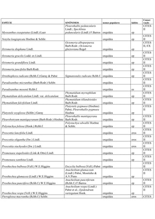 ESPÉCIE SINÔNIMOS nomes populares hábito
Conser
vação
Myoxanthus exaspetatus (Lindl.) Luer
Pleurothallis peduncularis
Lindl.; Specklinia
peduncularis (Lindl.) F.Barros orquídea ep
CITES
II
Notylia longispicata Hoehne & Schltr. orquídea ep
CITES
II
Octomeria diaphana Lindl.
Octomeria albopurpurea
Barb.Rodr.; Octomeria
glazioviana Regel orquídea ep
CITES
II, EX
Octomeria gracilis Lodd. ex Lindl. orquídea ep
CITES
II
Octomeria grandiflora Lindl. orquídea ep
CITES
II
Octomeria juncifolia Barb.Rodr. orquídea ep
CITES
II
Ornithophora radicans (Rchb.f.) Garay & Pabst Sigmatostalix radicans Rchb.f. orquídea ep
CITES
II
Paradisanthus micranthus (Barb.Rodr.) Schltr. orquídea
CITES
II
Paradisanthus mosenii Rchb.f. orquídea ee
CITES
II
Phymatidium delicatulum Lindl. var. delicatulum
Phymatidium myrtophilum
Barb.Rodr. orquídea ep
CITES
II
Phymatidium falcifolium Lindl.
Phymatidium tillandsioides
Barb.Rodr. orquídea ep
CITES
II
Platystele oxyglossa (Schltr.) Garay
Platystele pygmaea (Hoehne)
Pabst; Pleurothallis pygmaea
Hoehne orquídea ep
CITES
II
Pleurobotryum mantiquyranum (Barb.Rodr.) Hoehne
Pleurothallis mantiquyrana
Barb.Rodr. orquídea ep
CITES
II
Polystachya foliosa (Hook.) Rchb.f.
Polystachya edwallii Hoehne
& Schltr. orquídea ep
CITES
II
Prescottia lancifolia Lindl. orquídea eros
CITES
II
Prescottia oligantha (Sw.) Lindl. orquídea eros
CITES
II
Prescottia stachyodes (Sw.) Lindl. orquídea eros
CITES
II
Promenaea stapelioides (Link & Otto) Lindl. orquídea ep
CITES
II
Promenaea xanthina Lindl. orquídea ep
CITES
II
Prosthechea bulbosa (Vell.) W.E.Higgins Encyclia bulbosa (Vell.) Pabst orquídea
CITES
II
Prosthechea glumacea (Lindl.) W.E.Higgins
Anacheilium glumaceum
(Lindl.) Pabst, Moutinho &
A.V.Pinto orquídea ep
CITES
II
Prosthechea punctifera (Rchb.f.) W.E.Higgins
Anacheilium punctiferum
(Rchb.f.) F.Barros orquídea ep
CITES
II
Prosthechea vespa (Vell.) W.E.Higgins
Anacheilium vespa (Lindl.)
Pabst et al.; Epidendrum
variegatum Hook. orquídea ep
CITES
II
Pteroglossa macrantha (Rchb.f.) Schltr. orquídea eros CITES
 