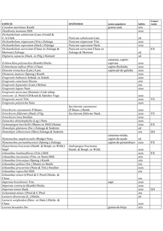 ESPÉCIE SINÔNIMOS nomes populares hábito
Conser
vação
Cynodon maritimus Kunth grama-seda eriz
Danthonia montana Döll eces
Dichanthelium sabulorum (Lam.) Gould &
C.A.Clark Panicum sabulorum Lam. ed
Dichanthelium stigmosum (Trin.) Zuloaga Panicum stigmosum Trin. eces
Dichanthelium superatum (Hack.) Zuloaga Panicum superatum Hack. eces
Dichanthelium surrectum (Chase ex Zuloaga &
Morrone) Zuloaga
Panicum surrectum Chase ex
Zuloaga & Morrone ed
EX
Digitaria sejuncta (Hack. ex Pilg.) Henrard ed
Echinochloa polystachya (Kunth) Hitchc.
canarana, capim-
capivara eces
Echinolaena inflexa (Poir.) Chase capim-flechinha eces
Eleusine tristachya (Lam.) Lam. capim-pé-de-galinha eces
Elionurus muticus (Spreng.) Kunth eces
Eragrostis bahiensis Schrad. ex Schult. eces
Eragrostis cataclasta Nicora eriz
Eragrostis hypnoides (Lam.) Britton era
Eragrostis lugens Nees eces
Eragrostis mexicana (Hornem.) Link subsp.
virescens (J. Presl) S.D.Koch & Sánchez Vega eces
Eragrostis neesii Trin. eces VU
Eragrostis polytricha Nees eces
Eriochrysis cayennensis P.Beauv.
Saccharum cayennense
(P.Beauv.) Benth. eces
Eriochrysis filiformis (Hack.) Filg. Saccharum filiforme Hack. eces VU
Eriochrysis laxa Swallen eces
Eustachys distichophylla (Lag.) Nees eces
Gymnopogon burchellii (Munro ex Döll) Ekman eces EX
Homolepis glutinosa (Sw.) Zuloaga & Soderstr. ed
Homolepis villaricensis (Mez) Zuloaga & Soderstr. era QA
Hymenachne amplexicaulis (Rudge) Nees
canarana-miúda,
capim-de-açude ed
Hymenachne pernambucensis (Spreng.) Zuloaga capim-de-pernambuco eces EX
Hyparrhenia bracteata (Humb. & Bonpl. ex Willd.)
Stapf
Andropogon bracteatus
Humb. & Bonpl. ex Willd. eces
Ichnanthus bambusiflorus (Trin.) Döll eces EX
Ichnanthus inconstans (Trin. ex Nees) Döll eriz
Ichnanthus leiocarpus (Spreng.) Kunth eriz
Ichnanthus pallens (Sw.) Munro ex Benth. era
Ichnanthus procurrens (Nees & Trin.) Swallen eces
Ichnanthus ruprechtii Döll era
Ichnanthus tenuis (J.Presl & C.Presl) Hitchc. &
Chase era
Imperata brasiliensis Trin. sapé eces
Imperata contracta (Kunth) Hitchc. eces
Imperata tenuis Hack. eces QA
Ischaemum minus J.Presl & C.Presl era
Lasiacis divaricata (L.) Hitchc. ed
Lasiacis sorghoidea (Desv. ex Ham.) Hitchc. &
Chase eces
Leersia hexandra Sw. grama-de-brejo eriz
 