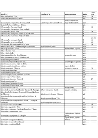 ESPÉCIE SINÔNIMOS nomes populares hábito
Conser
vação
Leersia ligularis Trin. eces EX
Lithachne horizontalis Chase era EX
Loudetiopsis chrysothrix (Nees) Conert Tristachya chrysothrix Nees
brinco-deprincesa,
trigo-da-felicidade eces
Luziola bahiensis (Steud.) Hitchc. era
Merostachys burmanii Send. b EX
Merostachys fischeriana Rupr. ex Döll b
Merostachys neesii Rupr. b EX
Merostachys pluriflora Munro ex E.G.Camus pinima b
Merostachys riedeliana Rupr. ex Döll b
Merostachys scandens Send. b
rara Br,
VU
Merostachys skvortzovii Send. b VU
Mesosetum ferrugineum (Trin.) Chase eces EX
Ocellochloa rudis (Nees) Zuloaga & Morrone Panicum rude Nees eces
Olyra glaberrima Raddi bambuzinho, taquari eces
Olyra humilis Nees eces
Olyra latifolia L. eces
Oplismenus hirtellus (L.) P.Beauv. grama-de-vaso era
Otachyrium versicolor (Döll) Henrard eriz
Panicum aquaticum Poir. eriz
Panicum campestre Nees ex Trin. colchão-pé-de-galinha eces
Panicum cyanescens Nees ex Trin. eces
Panicum dichotomiflorum Michx. capim-de-boi eces
Panicum gouinii E.Fourn. grama-portuguesa eces EX
Panicum hebotes Trin. ed
Panicum millegrana Poir. ed
Panicum olyroides Kunth var. olyroides eces
Panicum parvifolium Lam. ed
Panicum peladoense Henrard eces QA
Panicum pilosum Sw. era
Panicum polygonatum Schrad. ed
Panicum schwackeanum Mez ed
Panicum sellowii Nees bambuzinho eriz
Parodiolyra micrantha (Kunth) Davidse & Zuloaga Olyra micrantha Kunth taquari, criciúma eces
Parodiophyllochloa cordovensis (E.Fourn.) Zuloaga
& Morrone Panicum cordovense E.Fourn. ed
Parodiophyllochloa ovulifera (Trin.) Zuloaga &
Morrone Panicum ovuliferum Trin. ed
Parodiophyllochloa pantricha (Hack.) Zuloaga &
Morrone Panicum pantrichum Hack. ed
Paspalum arundinellum Mez eces EX
Paspalum aspidiotes Trin. eces VU
Paspalum carinatum Humb. & Bonpl. ex Flügge eces
Paspalum commutatum Nees ed
Paspalum conjugatum P.J.Bergius
capim-azedo, capim-
gordo era
Paspalum conspersum Schrad.
capim-milhã, capim-
batatais eces
Paspalum corcovadense Raddi eces
Paspalum cordatum Hack. eces
 