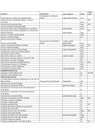 ESPÉCIE SINÔNIMOS nomes populares hábito
Conser
vação
Schizachyrium condensatum (Kunth) Nees
Andropogon condensatus
Kunth capim-rabo-de-burro eces
Schizachyrium scabrifolium (Rupr. ex Hack.)
A.Camus eces
EX
Schizachyrium tenerum Nees eces QA
Setaria palmifolia (J.König) Stapf eces
Setaria parviflora (Poir.) Kerguélen var. parviflora rabo-de-gato eces
Setaria parviflora (Poir.) Kerguélen var. pilosissima
(Hack.) Pensiero rabo-de-gato eces
EN
Setaria scabrifolia (Nees) Kunth eces
Setaria scandens Schrad. era
Setaria setosa (Sw.) P.Beauv.
Setaria sulcata Raddi
Setaria poiretiana (Schult.)
Kunth
canoão, capim-
palmeirinha eces
Setaria tenacissima Schrad. ex Schult. capim-maranguá eces EX
Setaria vaginata Spreng. eces
Sorghastrum minarum (Nees) Hitchc. capim-maçambará eces
Sorghastrum scaberrimum (Nees) Herter eces
Sporobolus ciliatus J.Presl eces
Sporobolus indicus (L.) R.Br. capim-mourão eces
Steinchisma decipiens (Nees ex Trin.) W.V.Br. eriz
Steinchisma laxa (Sw.) Zuloaga ed
Steinchisma spathellosa (Döll) Renvoize eriz EX
Trachypogon spicatus (L.f.) Kuntze eces
Trachypogon vestitus Andersson eces
Tristachya leiostachya Nees capim-flechinha eces
PODOSTEMACEAE
Apinagia riedelii (Bong.) Tul. ea rara SP
Mourera aspera (Bong.) Tul. ea
POLYGALACEAE
Acanthocladus brasiliensis (Klotzsch ex A.St.-Hil. &
Moq.) Hassk. Polygala klotzschii Chodat limãozinho arb
Bredemeyera autranii Chodat ae
Bredemeyera floribunda Willd. guiné-do-campo ae
Bredemeyera kunthiana (A.St.-Hil.) Klotzsch ex
A.W.Benn. ae
Bredemeyera laurifolia (A.St.-Hil.) Klotzsch ex
A.W.Benn. tr
Diclidanthera laurifolia Mart. jaboticaba-de-cipó ae
Monnina richardiana A.St.-Hil. & Moq. suba QA
Polygala campestris Gardner ee
Polygala cuspidata DC. ee
Polygala galioides Poir. ee EX
Polygala glochidiata Kunth var. glochidiata ee
Polygala hebeclada DC. ee
Polygala hirsuta A.St.-Hil. & Moq. suba QA
Polygala hygrophila Kunth ee
Polygala lancifolia A.St.-Hil. & Moq. poaia-de-são-paulo suba
Polygala laureola A.St.-Hil. & Moq. suba
Polygala longicaulis Kunth ee
Polygala molluginifolia A.St.-Hil. & Moq. ee EX
 