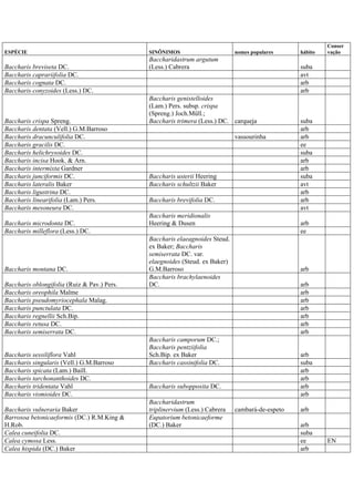 ESPÉCIE SINÔNIMOS nomes populares hábito
Conser
vação
Baccharis breviseta DC.
Baccharidastrum argutum
(Less.) Cabrera suba
Baccharis caprariifolia DC. avt
Baccharis cognata DC. arb
Baccharis conyzoides (Less.) DC. arb
Baccharis crispa Spreng.
Baccharis genistelloides
(Lam.) Pers. subsp. crispa
(Spreng.) Joch.Müll.;
Baccharis trimera (Less.) DC. carqueja suba
Baccharis dentata (Vell.) G.M.Barroso arb
Baccharis dracunculifolia DC. vassourinha arb
Baccharis gracilis DC. ee
Baccharis helichrysoides DC. suba
Baccharis incisa Hook. & Arn. arb
Baccharis intermixta Gardner arb
Baccharis junciformis DC. Baccharis usterii Heering suba
Baccharis lateralis Baker Baccharis schultzii Baker avt
Baccharis ligustrina DC. arb
Baccharis linearifolia (Lam.) Pers. Baccharis brevifolia DC. arb
Baccharis mesoneura DC. avt
Baccharis microdonta DC.
Baccharis meridionalis
Heering & Dusen arb
Baccharis milleflora (Less.) DC. ee
Baccharis montana DC.
Baccharis elaeagnoides Steud.
ex Baker; Baccharis
semiserrata DC. var.
elaegnoides (Steud. ex Baker)
G.M.Barroso arb
Baccharis oblongifolia (Ruiz & Pav.) Pers.
Baccharis brachylaenoides
DC. arb
Baccharis oreophila Malme arb
Baccharis pseudomyriocephala Malag. arb
Baccharis punctulata DC. arb
Baccharis regnellii Sch.Bip. arb
Baccharis retusa DC. arb
Baccharis semiserrata DC. arb
Baccharis sessiliflora Vahl
Baccharis camporum DC.;
Baccharis pentziifolia
Sch.Bip. ex Baker arb
Baccharis singularis (Vell.) G.M.Barroso Baccharis cassinifolia DC. suba
Baccharis spicata (Lam.) Baill. arb
Baccharis tarchonanthoides DC. arb
Baccharis tridentata Vahl Baccharis subopposita DC. arb
Baccharis vismioides DC. arb
Baccharis vulneraria Baker
Baccharidastrum
triplinervium (Less.) Cabrera cambará-de-espeto arb
Barrosoa betonicaeformis (DC.) R.M.King &
H.Rob.
Eupatorium betonicaeforme
(DC.) Baker arb
Calea cuneifolia DC. suba
Calea cymosa Less. ee EN
Calea hispida (DC.) Baker arb
 