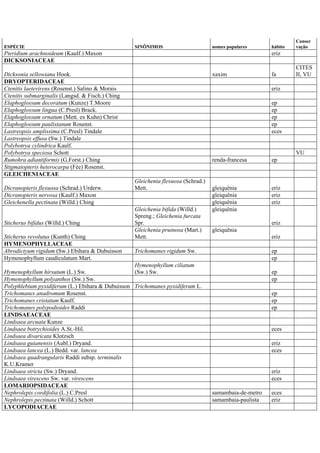 ESPÉCIE SINÔNIMOS nomes populares hábito
Conser
vação
Pteridium arachnoideum (Kaulf.) Maxon eriz
DICKSONIACEAE
Dicksonia sellowiana Hook. xaxim fa
CITES
II, VU
DRYOPTERIDACEAE
Ctenitis laetevirens (Rosenst.) Salino & Morais eriz
Ctenitis submarginalis (Langsd. & Fisch.) Ching
Elaphoglossum decoratum (Kunze) T.Moore ep
Elaphoglossum lingua (C.Presl) Brack. ep
Elaphoglossum ornatum (Mett. ex Kuhn) Christ ep
Elaphoglossum paulistanum Rosenst. ep
Lastreopsis amplissima (C.Presl) Tindale eces
Lastreopsis effusa (Sw.) Tindale
Polybotrya cylindrica Kaulf.
Polybotrya speciosa Schott VU
Rumohra adiantiformis (G.Forst.) Ching renda-francesa ep
Stigmatopteris heterocarpa (Fée) Rosenst.
GLEICHENIACEAE
Dicranopteris flexuosa (Schrad.) Urderw.
Gleichenia flexuosa (Schrad.)
Mett. gleiquênia eriz
Dicranopteris nervosa (Kaulf.) Maxon gleiquênia eriz
Gleichenella pectinata (Willd.) Ching gleiquênia eriz
Sticherus bifidus (Willd.) Ching
Gleichenia bifida (Willd.)
Spreng.; Gleichenia furcata
Spr.
gleiquênia
eriz
Sticherus revolutus (Kunth) Ching
Gleichenia pruinosa (Mart.)
Mett.
gleiquênia
eriz
HYMENOPHYLLACEAE
Abrodictyum rigidum (Sw.) Ebihara & Dubuisson Trichomanes rigidum Sw. ep
Hymenophyllum caudiculatum Mart. ep
Hymenophyllum hirsutum (L.) Sw.
Hymenophyllum ciliatum
(Sw.) Sw. ep
Hymenophyllum polyanthos (Sw.) Sw. ep
Polyphlebium pyxidiferum (L.) Ebihara & Dubuisson Trichomanes pyxidiferum L.
Trichomanes anadromum Rosenst. ep
Trichomanes cristatum Kaulf. ep
Trichomanes polypodioides Raddi ep
LINDSAEACEAE
Lindsaea arcuata Kunze
Lindsaea botrychioides A.St.-Hil. eces
Lindsaea divaricata Klotzsch
Lindsaea guianensis (Aubl.) Dryand. eriz
Lindsaea lancea (L.) Bedd. var. lancea eces
Lindsaea quadrangularis Raddi subsp. terminalis
K.U.Kramer
Lindsaea stricta (Sw.) Dryand. eriz
Lindsaea virescens Sw. var. virescens eces
LOMARIOPSIDACEAE
Nephrolepis cordifolia (L.) C.Presl samambaia-de-metro eces
Nephrolepis pectinata (Willd.) Schott samambaia-paulista eriz
LYCOPODIACEAE
 