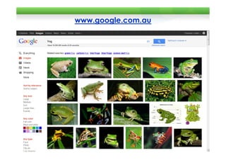 www.google.com.au
 