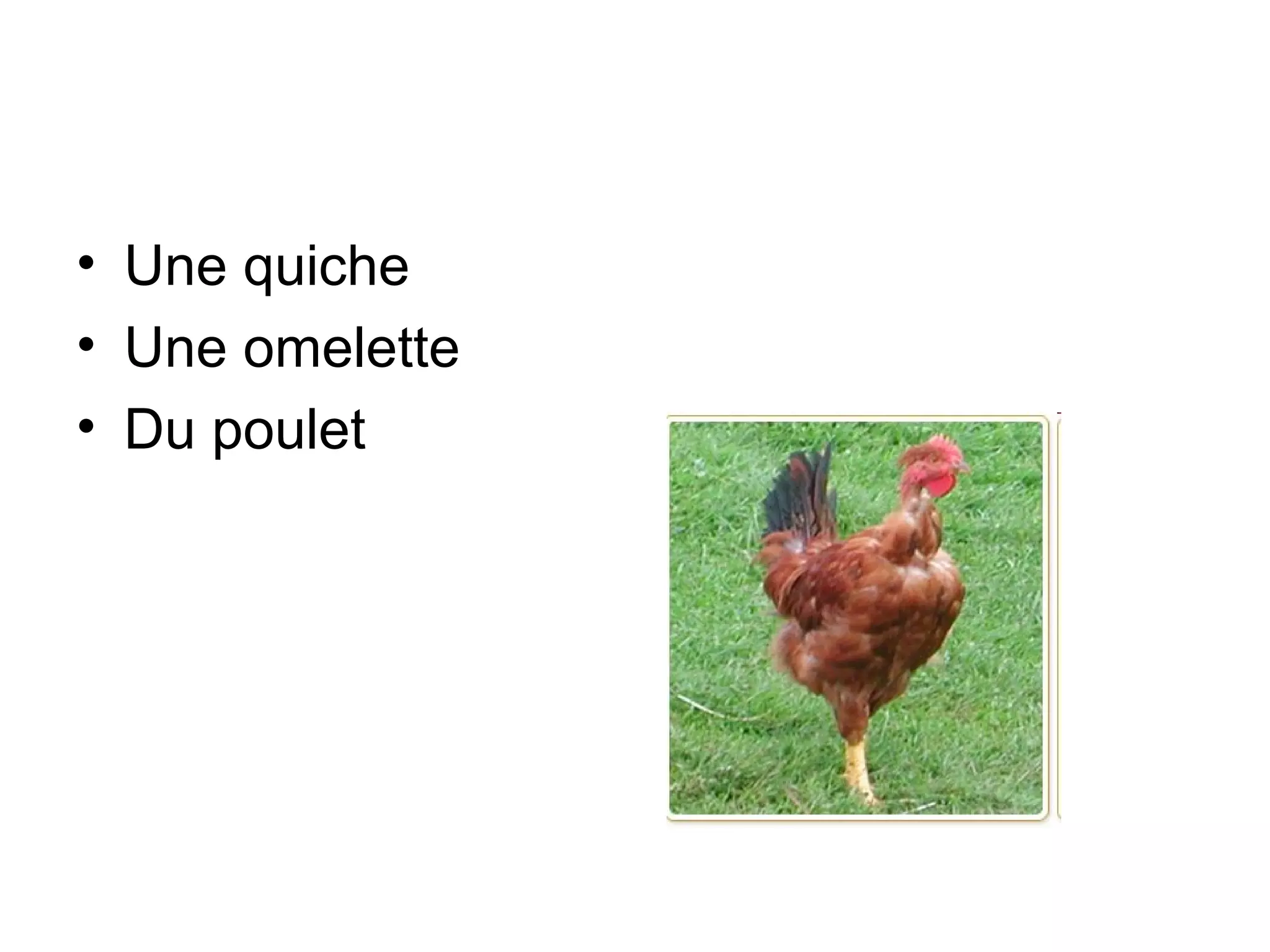• Une quiche
• Une omelette
• Du poulet

 