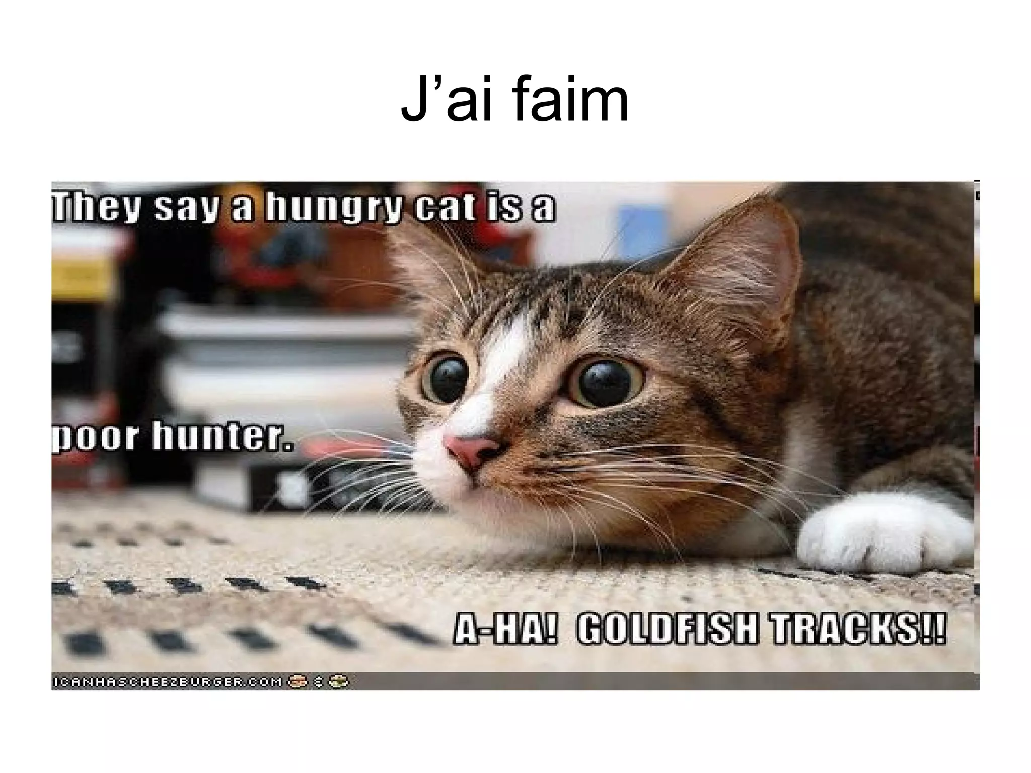 J’ai faim

 