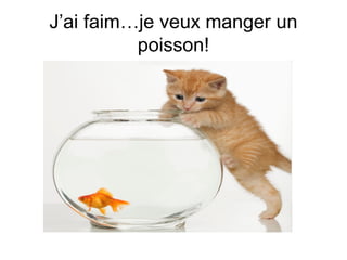J’ai faim…je veux manger un
poisson!

 