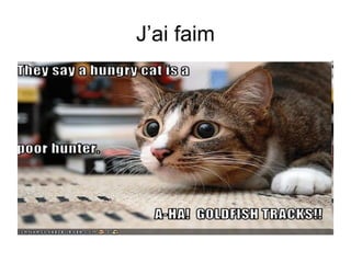 J’ai faim

 