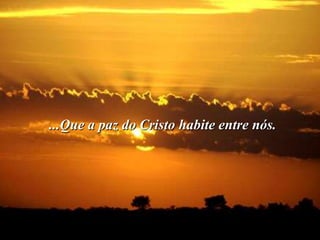 ...Que a paz do Cristo habite entre nós.
 