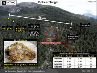 TSX-V:ATC 11Developing Canada’s Only Carlin-Type Gold District
 