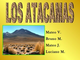 LOS ATACAMAS Mateo V. Bruno M. Mateo J.  Luciano M. 