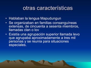 otras características Hablaban la lengua Mapudungun Se organizaban en familias consanguíneas extensas, de cincuenta a sesenta miembros, llamadas clan o lov Existía una agrupación superior llamada levo que agrupaba aproximadamente a tres mil personas y se reunía para situaciones especiales. 