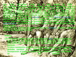 Las tribus Pikunches vivían en el área central de Chile.  Los cronistas españoles nos han dejado abundante información sobre el desarrollo en que se encontraban estas tribus. Los llamaron Pikunches. Hablaban la lengua mapuche al igual que araucanos y williches, pero culturalmente estaban en un nivel superior debido a la adquisición de ciertas técnicas más evolucionadas, fruto de sus contactos con los pueblos del norte. Enterraban a sus muertos bajo  túmulos ; poseían unas  piedras horadadas  que, provistas de mangos pudieron ser usadas como herramientas agrícolas.; tallaron pequeñas cavidades en grandes bloques de piedra conocidas como  piedras tacitas , cuya función pudo ser la de morteros o depósitos de ofrendas ceremoniales.  Elaboraron una cerámica decorada con forma de  trinaquio , distinta a todas las culturas prehispánicas de Chile.  Los Pikunches también sufrieron la dominación  Inca . Aunque constituían una rama de los Mapuche, eran menos belicosos que aquellos.  Con suficientes tierras y muy ricas, las guerras de expansión fueron escasas.  La poca resistencia ofrecida a los Incas hizo que estos no introdujeran grandes cambios en la estructura social, sino más bien los incorporaran al imperio a través de sus mismos caciques, convertidos en nobles del incanato.  Historia 