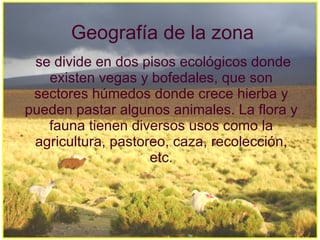 Geografía de la zona
 se divide en dos pisos ecológicos donde
   existen vegas y bofedales, que son
 sectores húmedos donde crece hierba y
pueden pastar algunos animales. La flora y
   fauna tienen diversos usos como la
 agricultura, pastoreo, caza, recolección,
                    etc.
 