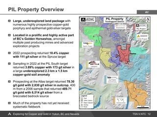 TSX-V:ATC
PIL Property Overview
12
Exploring for Copper and Gold in Yukon, BC and Nevada
BC
Large, underexplored land pack...