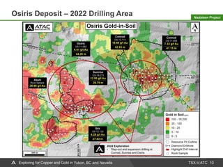 TSX-V:ATC
Osiris Deposit – 2022 Drilling Area
10
Exploring for Copper and Gold in Yukon, BC and Nevada
Nadaleen Project
2022 Exploration
• Step-out and expansion drilling at
Conrad, Sunrise and Osiris
 