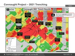 TSX-V:ATC
Connaught Project – 2021 Trenching
13
Exploring for Copper and Gold in Yukon, BC and Nevada
Yukon
Note this is an unglaciated environment,
where copper grades are depleted due
to surface leaching.
 