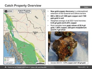 TSX-V:ATC
Catch Property Overview
16
• New gold-copper discovery in underexplored
extension of the Quesnel and Stikine terrane
• 800 x 400 m of >400 ppm copper and >100
ppb gold in soil
• Weighted average of all 2021 hand trenches:
0.34 g/t gold and 0.22% copper
• Rock samples have peak values of 52.4 g/t
gold, 1.60% copper, 228 ppm molybdenum
and 41.7 g/t silver
Exploring for Copper and Gold in Yukon, BC and Nevada
Sample 3853101: 1.57% copper and 7.45 g/t gold
Yukon
 