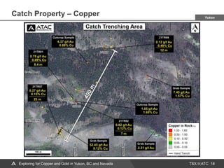 TSX-V:ATC
Catch Property – Copper
18
Exploring for Copper and Gold in Yukon, BC and Nevada
Yukon
 