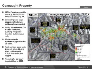 TSX-V:ATC
Connaught Property
12
Exploring for Gold and Copper in Yukon and Nevada
137 km2 road-accessible
property, located 65 km
west of Dawson City, YK.
Compelling early-stage
copper-molybdenum-
gold porphyry potential
Strong and extensive Cu-
Mo soil anomalies,
overlying Prospector
Mountain Suite intrusive
rocks
26 distinct sub-
epithermal Ag-Pb-Zn-Au-
Cu veins.
Rock samples grade up to
4,050 g/t silver, 79.41%
lead, 10.90 g/t gold,
7.24% zinc and 1.98%
copper.
Preparing for porphyry
target drilling in 2022.
Yukon
 
