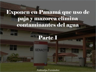Exponen en Panamá que uso de
paja y mazorca elimina
contaminantes del agua
Parte I
Atahualpa Fernández
 