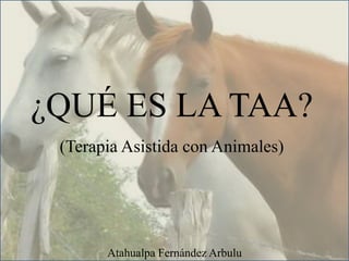 ¿QUÉ ES LA TAA?
(Terapia Asistida con Animales)
Atahualpa Fernández Arbulu
 