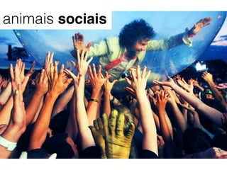 animais sociais
 