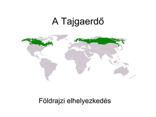 A Tajgaerdő




Földrajzi elhelyezkedés
 