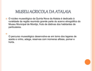 MUSEU AGRICOLA DA ATALAIA
 O núcleo museológico da Quinta Nova da Atalaia é dedicado à
ruralidade da região reunindo grande parte do acervo etnográfico do
Museu Municipal de Montijo, fruto de dádivas dos habitantes de
particulares.

O percurso museológico desenvolve-se em torno dos lagares de
azeite e vinho, adega, reservas com inúmeras alfaias, pomar e
horta.
 