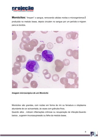 ATLAS BÁSICO DE HEMATOLOGIA DA SÉRIE BRANCA, por Luana dos Santos da ...