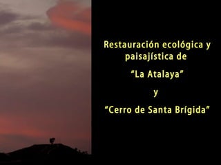 Restauración ecológica y paisajística de  “ La Atalaya” y  “ Cerro de Santa Brígida” 