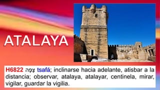 H6822 ‫ה‬ָ‫פ‬ָ‫צ‬ tsafá; inclinarse hacia adelante, atisbar a la
distancia; observar, atalaya, atalayar, centinela, mirar,
vigilar, guardar la vigilia.
 