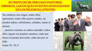 Sus atalayas son ciegos, todos ellos
ignorantes; todos ellos perros mudos, no
pueden ladrar; soñolientos, echados, aman el
dormir.
…pastores mismos no saben entender; todos
ellos siguen sus propios caminos, cada uno
busca su propio provecho, cada uno por su
lado.
Isaías 56. 10,11
 