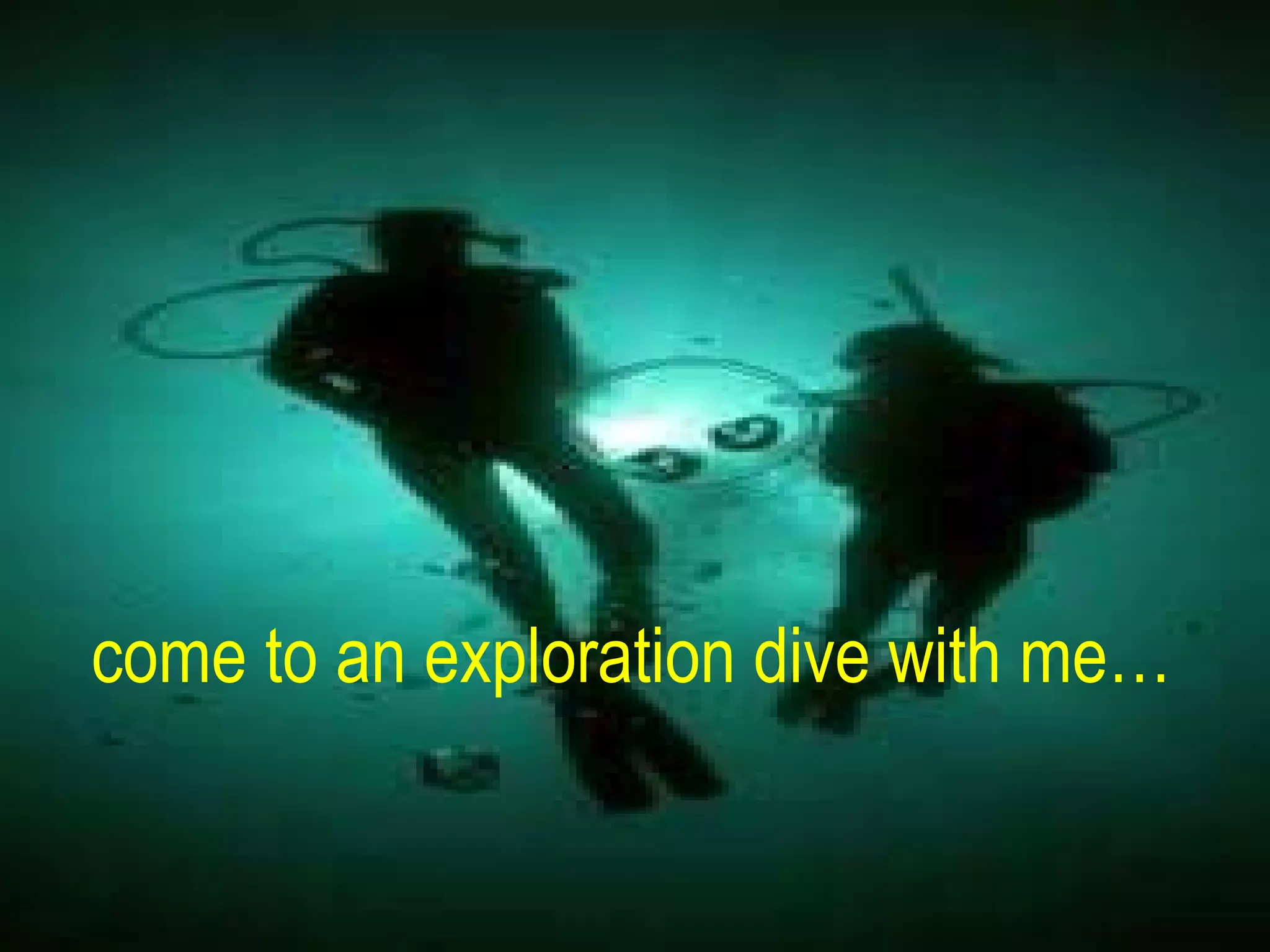 come to an exploration dive with me… 