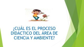 ¿CUÁL ES EL PROCESO
DIDÁCTICO DEL ÁREA DE
CIENCIA Y AMBIENTE?
 