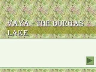 VAyA - the BurgAs
lAke
 