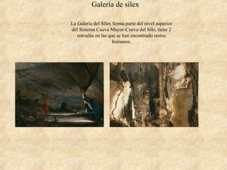 Galería de silex
La Galería del Sílex forma parte del nivel superior
del Sistema Cueva Mayor-Cueva del Silo, tiene 2
entradas en las que se han encontrado restos
humanos.
 