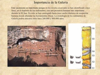 Importancia de la Galería
Este yacimiento es importante porque en los niveles excavados se han identificado cinco
fases, en el depósito de los sedimentos, con una presencia humana más importante
durante la III fase. En esta, se han catalogado hasta trece suelos distintos de ocupación
humana donde abundan las herramientas líticas. La cronología de los sedimentos de
Galería podría ubicarse entre hace 200.000 y 400.000 años.
 
