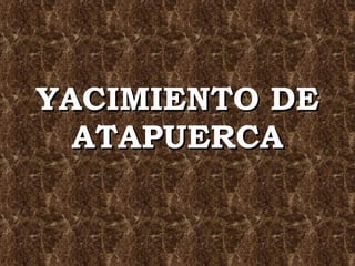 YACIMIENTO DE ATAPUERCA 