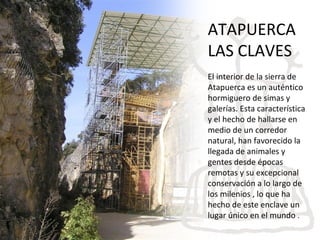 ATAPUERCA
LAS CLAVES
El interior de la sierra de
Atapuerca es un auténtico
hormiguero de simas y
galerías. Esta característica
y el hecho de hallarse en
medio de un corredor
natural, han favorecido la
llegada de animales y
gentes desde épocas
remotas y su excepcional
conservación a lo largo de
los milenios , lo que ha
hecho de este enclave un
lugar único en el mundo .
 