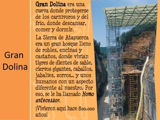Gran
Dolina
 