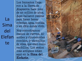 La
 Sima
  del
Elefan
  te
 