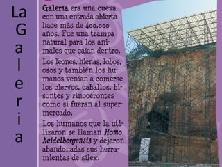 La
 G
 a
 l
e
 r
 i
 a
 