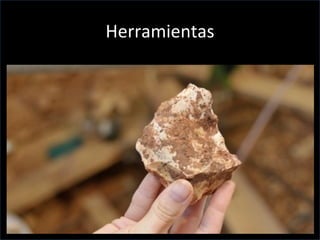 Herramientas
 