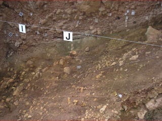 Atapuerca, bus2
