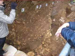 Atapuerca, bus2