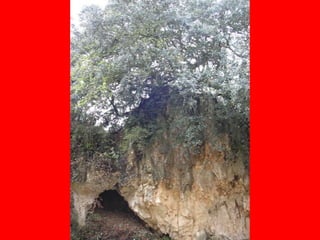 Atapuerca, bus2